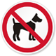 Haustiere sind nicht erlaubt.